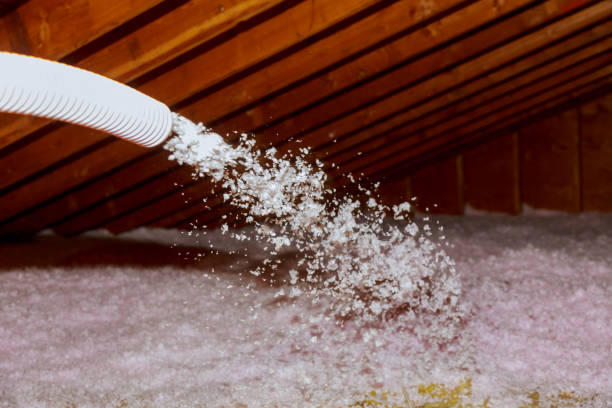 Best Spray Foam Insulation in Ruhenstroth, NV