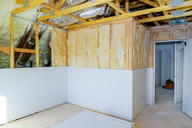Best Insulation Maintenance and Repair in Ruhenstroth, NV