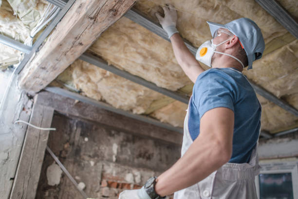 Best Insulation Maintenance and Repair in Ruhenstroth, NV