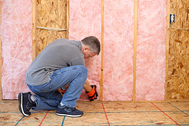Best Commercial Insulation in Ruhenstroth, NV