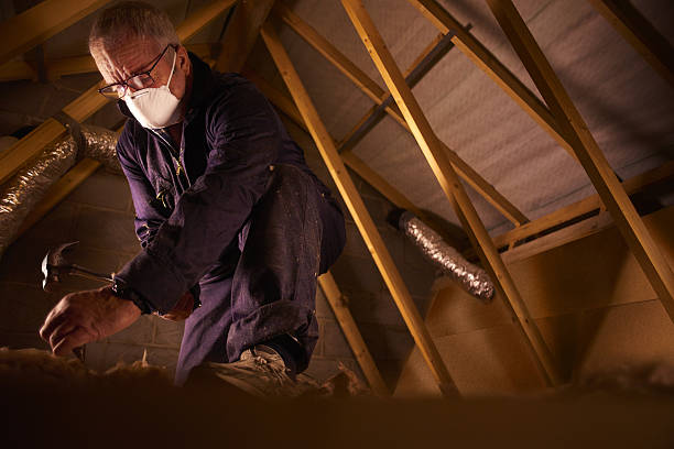 Best Fiberglass Insulation in Ruhenstroth, NV